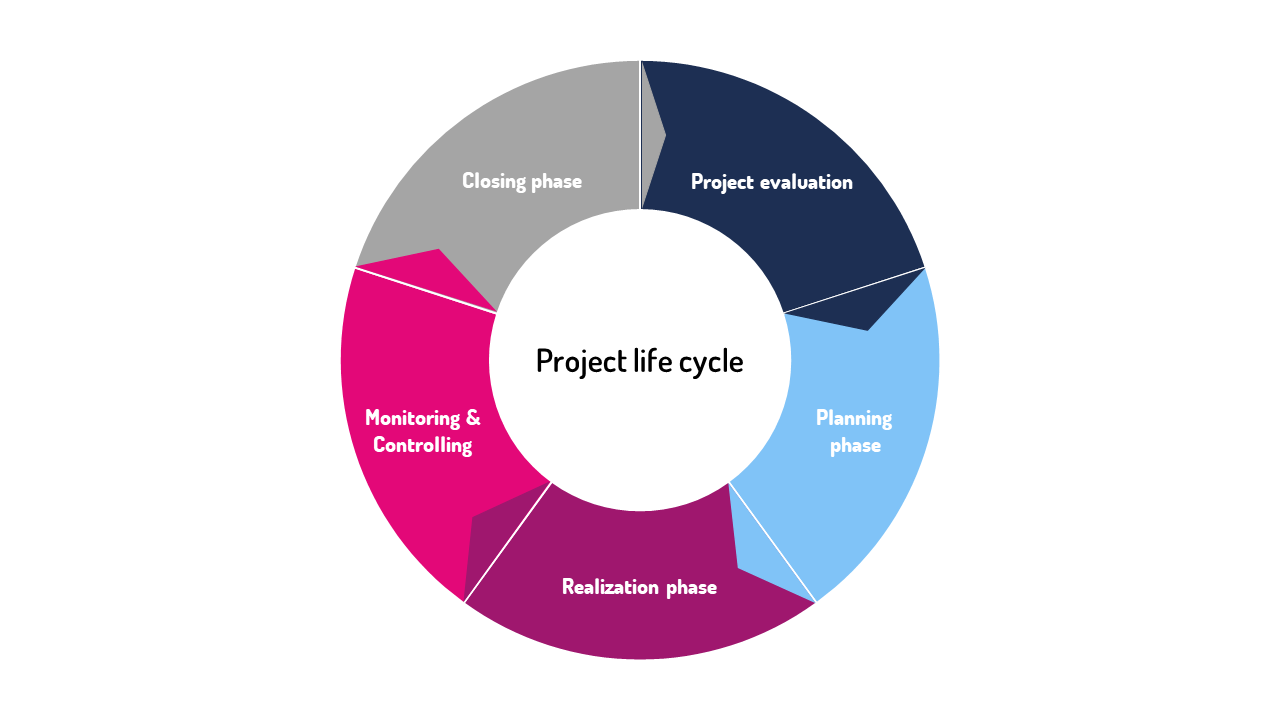phases of the project life cycle